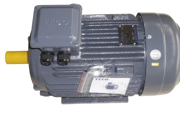 Động cơ TECO